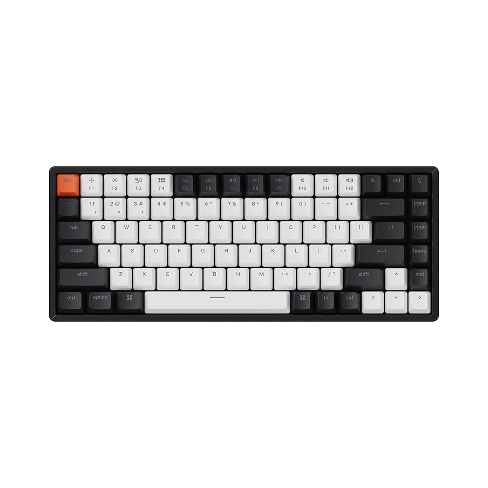 Amazon.com: Keychron K2 75% Layout 84 Keys Hot-swappable